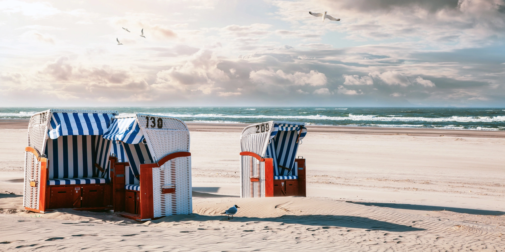 1667050-1588167-V1-P0