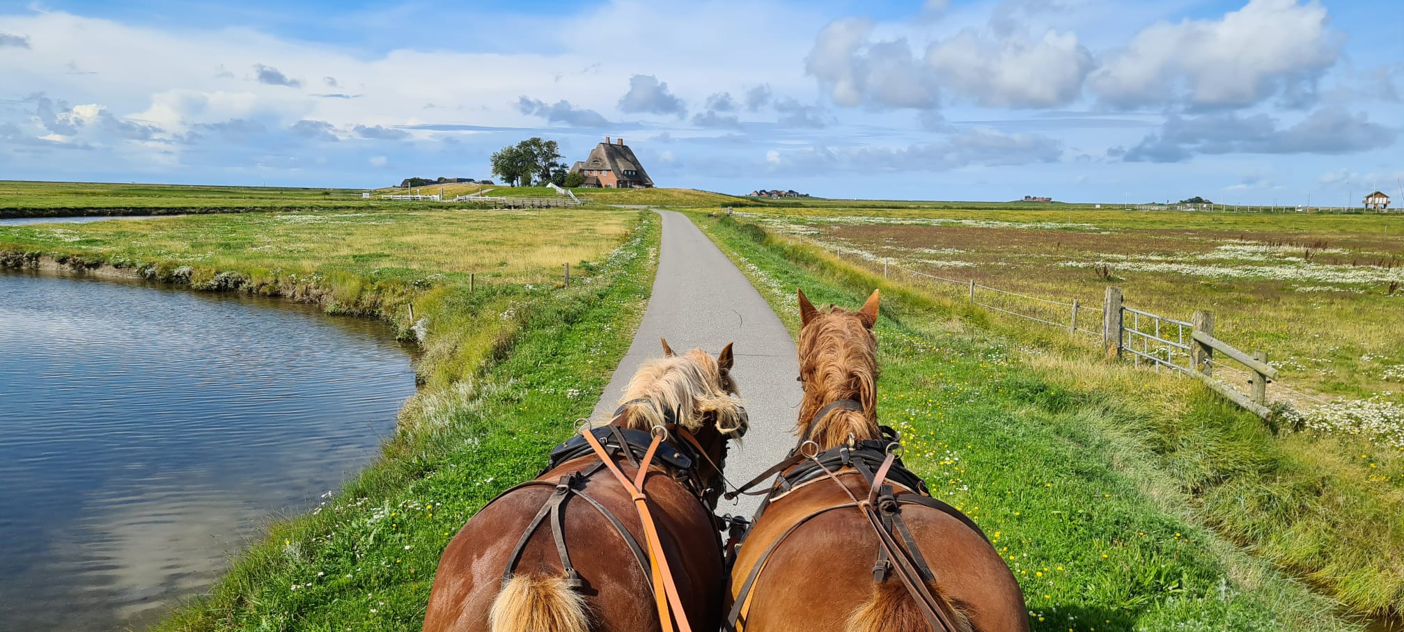 23a10399-e894-4b7e-9f54-ea6fe597945f