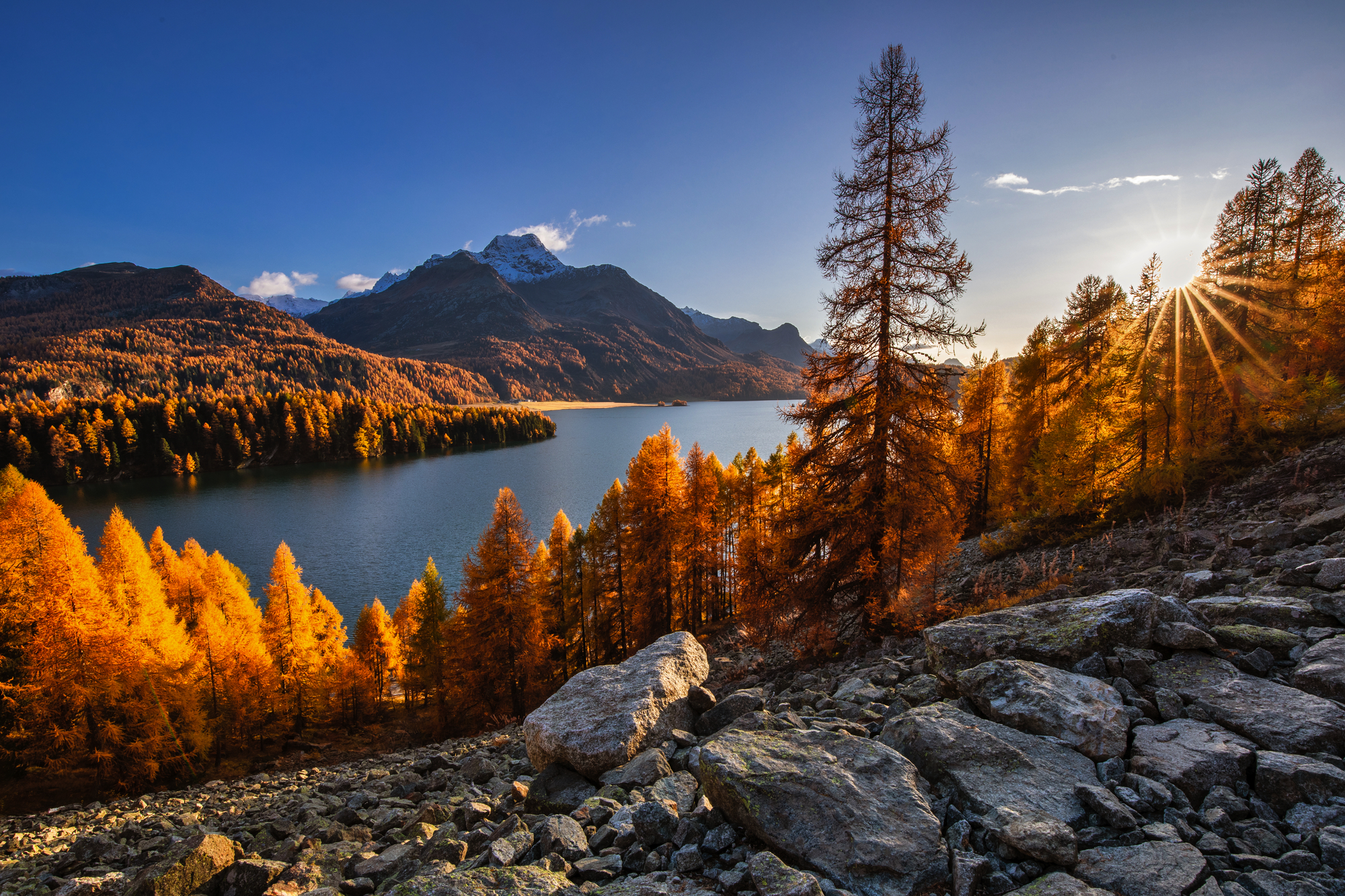 Herbst am Silser See mit seinen farbigen Lärchen im Engadin in der Schweiz