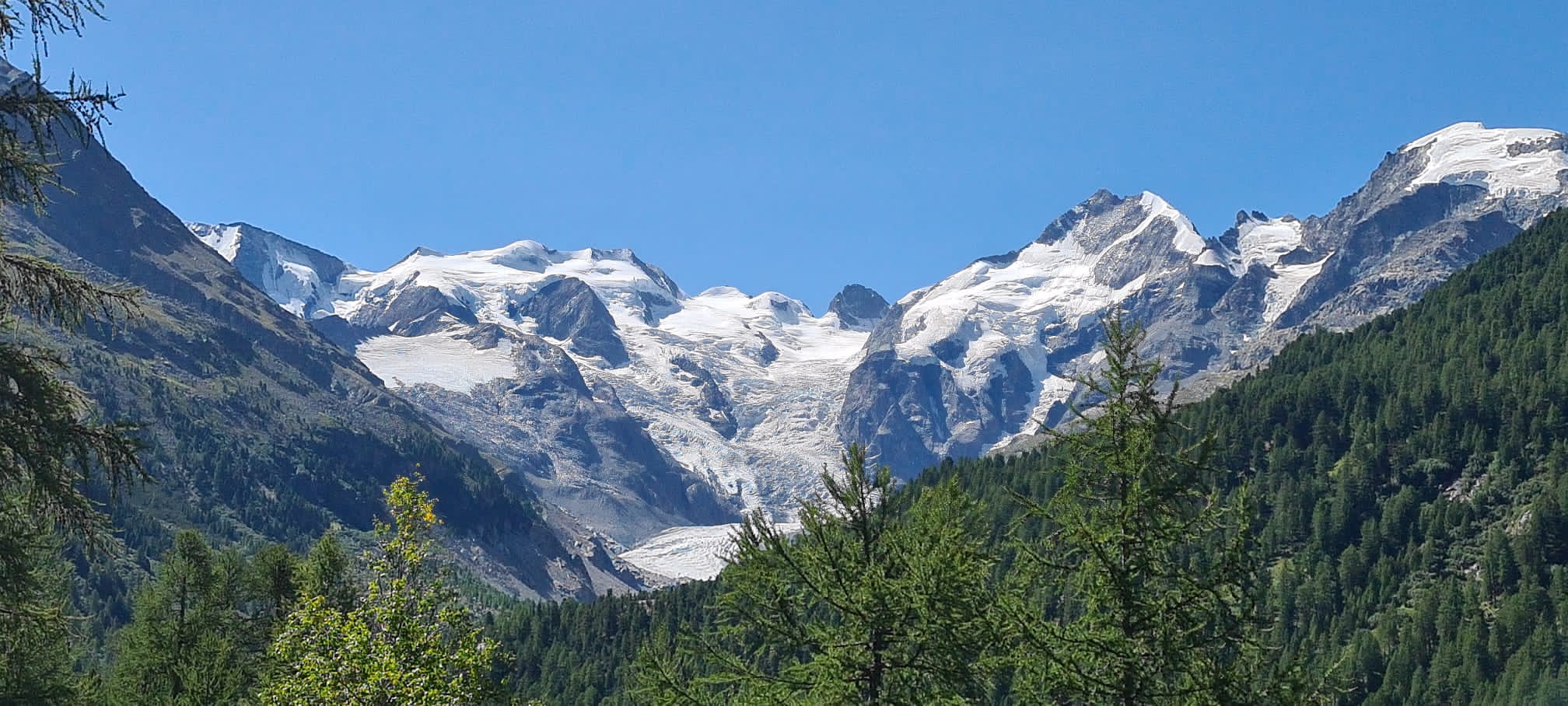 2cd3e32d-83c8-4696-881f-e6f6e0d1bab9