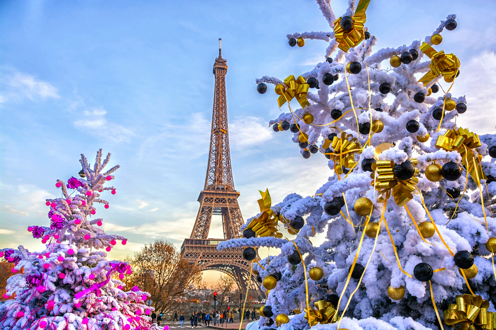 Eiffel Tower is the main attraction of Paris on the background of decorated Christmas trees in December. Travel Greeting Card with Christmas in Paris, France