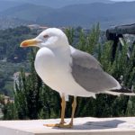 Apulien 2026 (86)