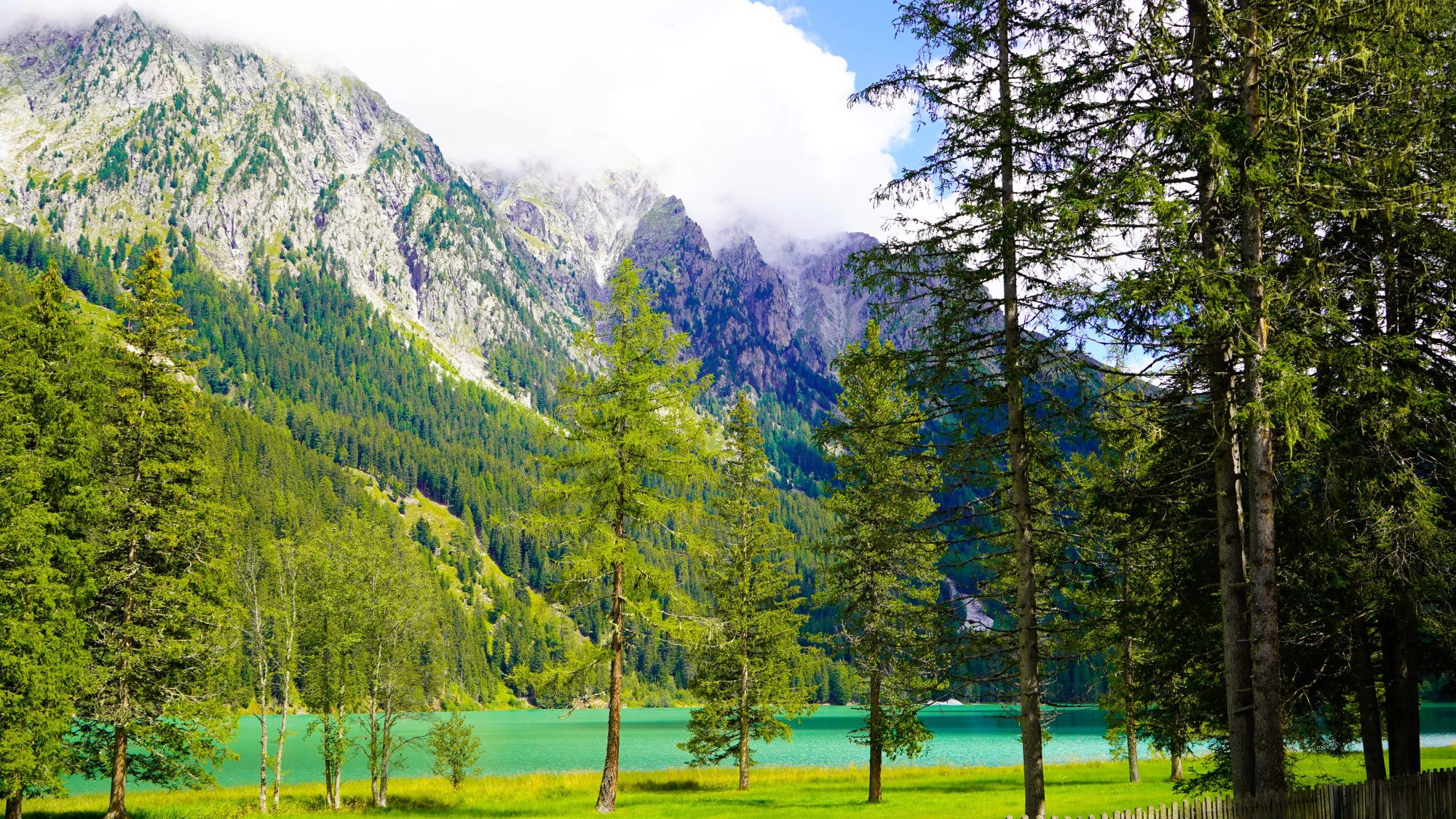 Ferien in Reischach 2020