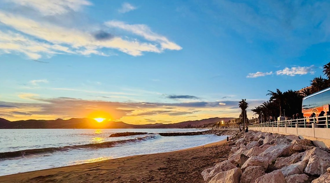 Mimosenfest 2026 (15)