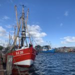 Nordfriesland 2026 (26)