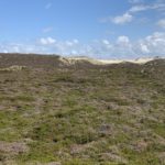 Nordfriesland 2026 (38)