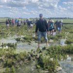 Nordfriesland 2026 (56)