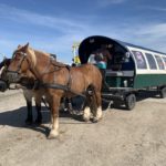Nordfriesland 2026 (68)