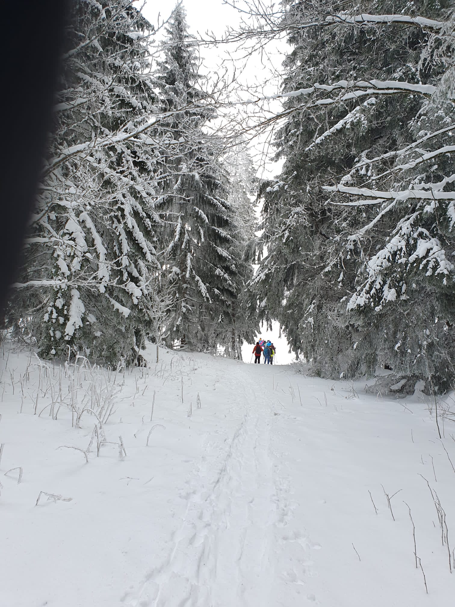 PHOTO-2023-01-27-21-06-52