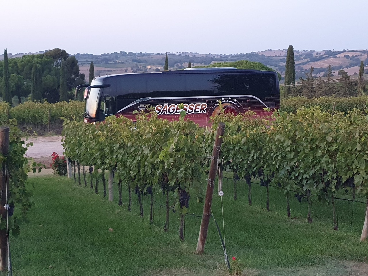 PHOTO-2023-09-19-15-39-41