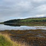 Schottland 2026 (36)