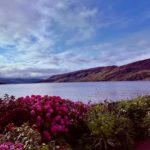 Schottland 2026 (43)