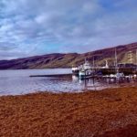 Schottland 2026 (44)