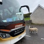 Schottland 2026 (46)