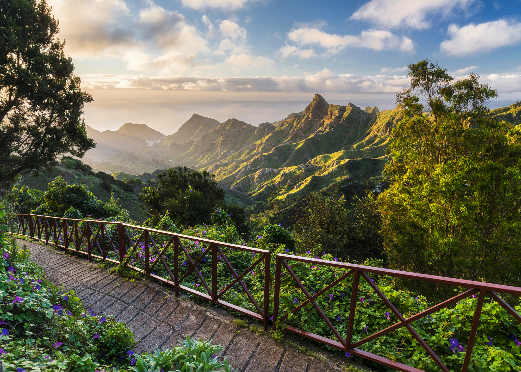 Blick in das Anaga Gebirge, Rural Park, Teneriffa, Kanarische Inseln, Spanien
