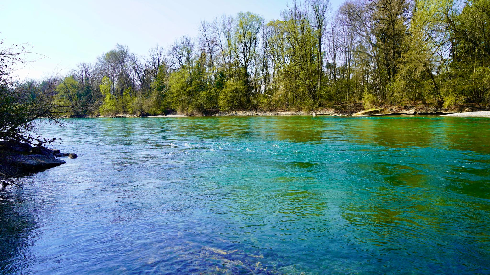 WhatsApp Image 2021-04-25 at 11.00.15