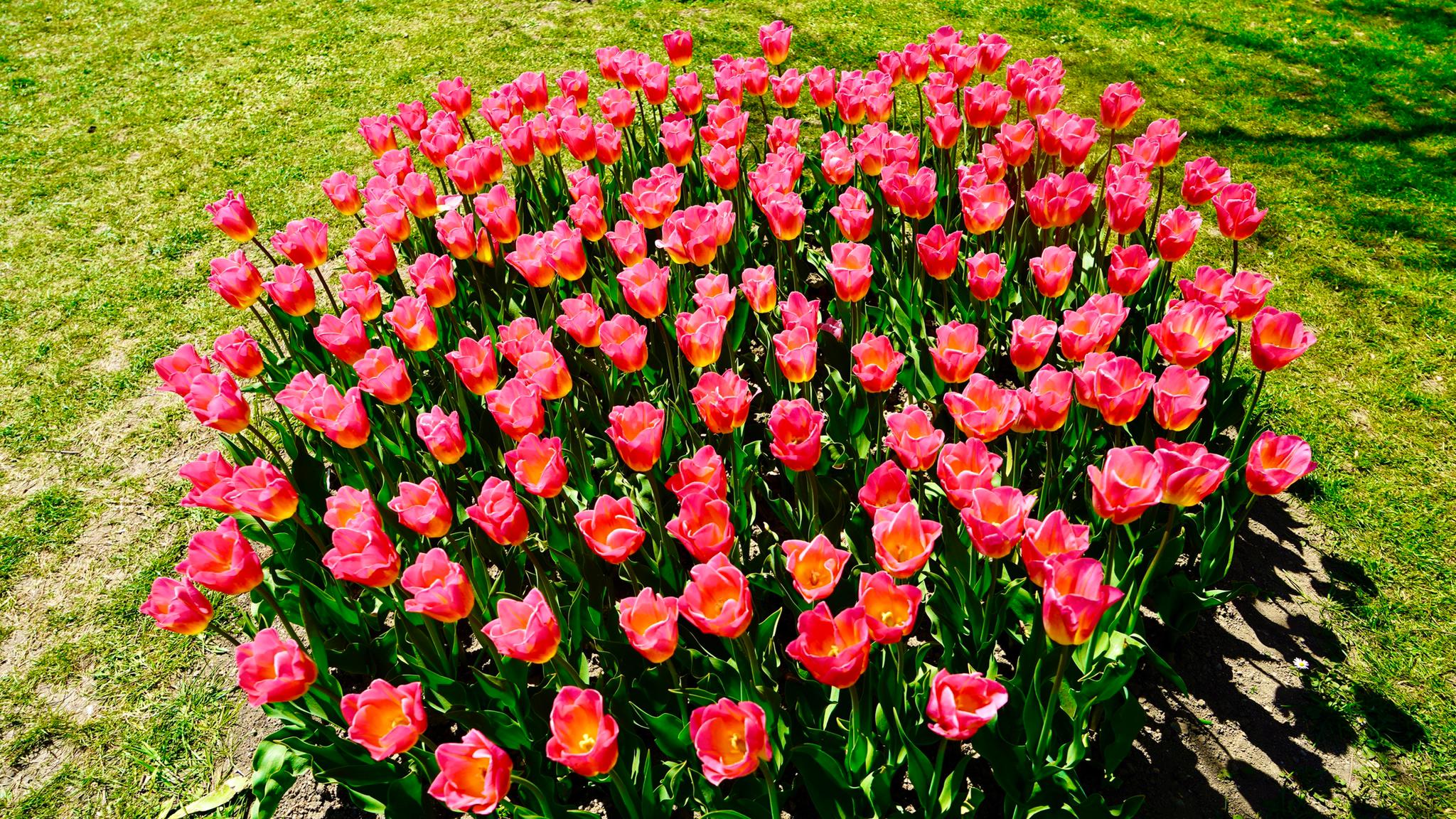 WhatsApp Image 2021-04-25 at 11.01.54