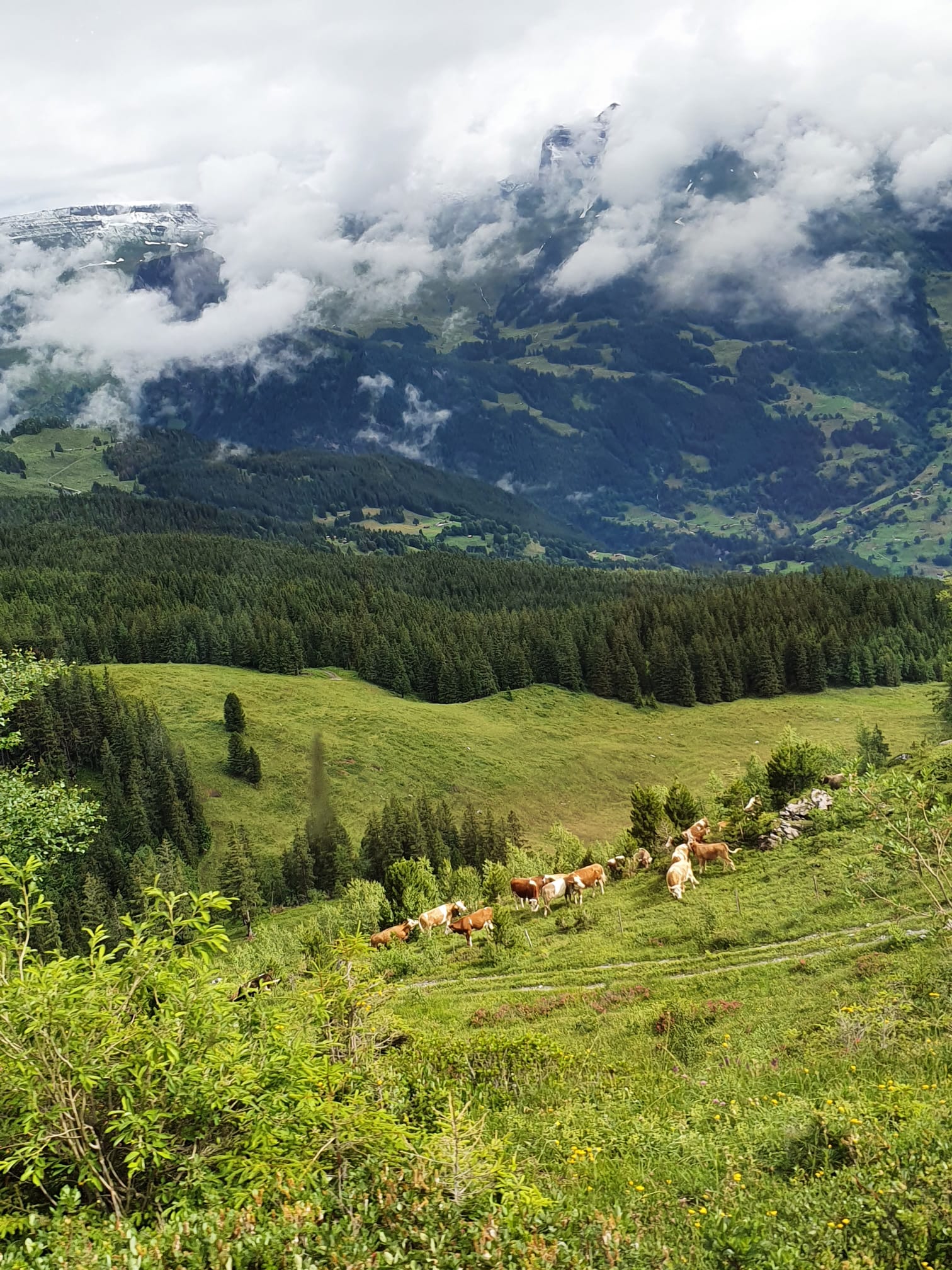 WhatsApp Image 2021-07-17 at 11.03.58