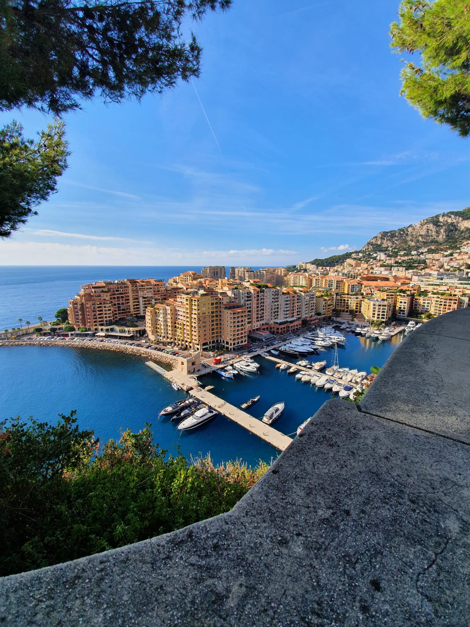 WhatsApp Image 2021-10-13 at 22.58.41 (2)