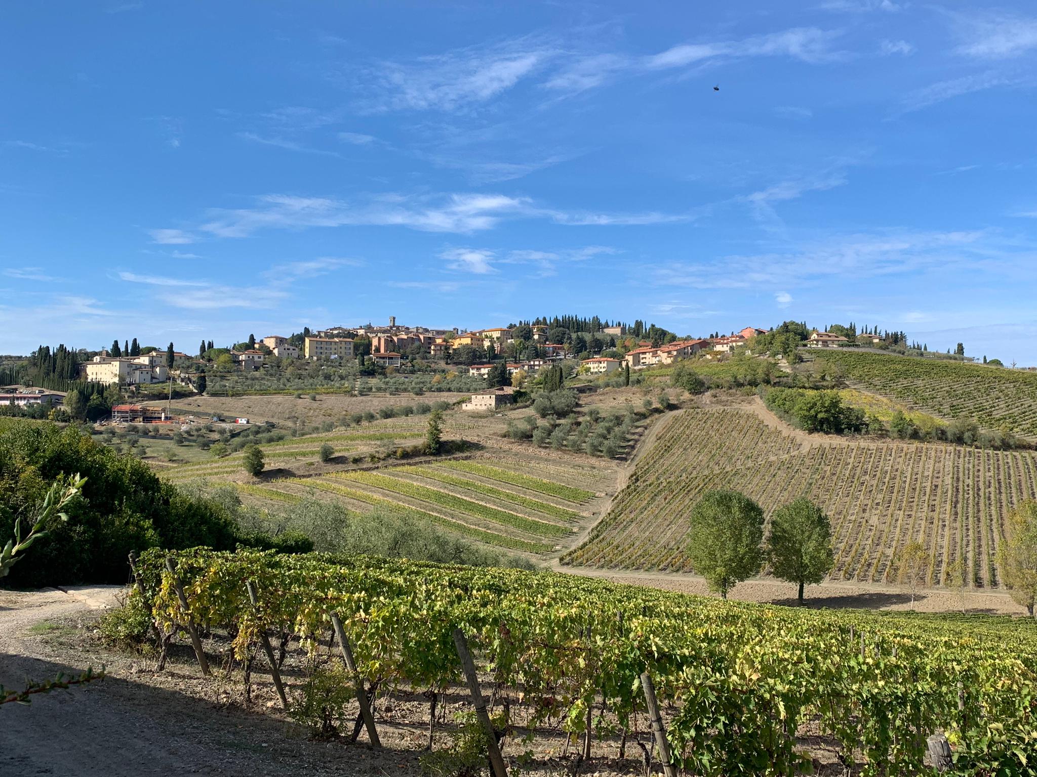 WhatsApp Image 2021-10-19 at 17.30.58