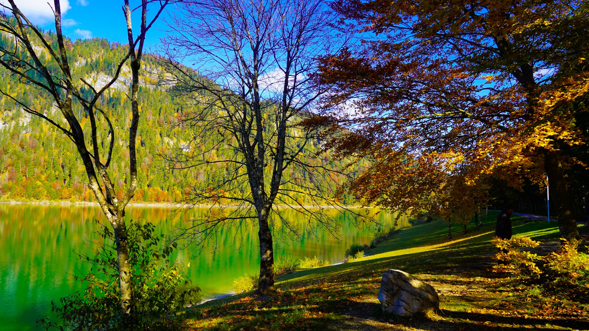 WhatsApp Image 2021-10-26 at 20.46.49