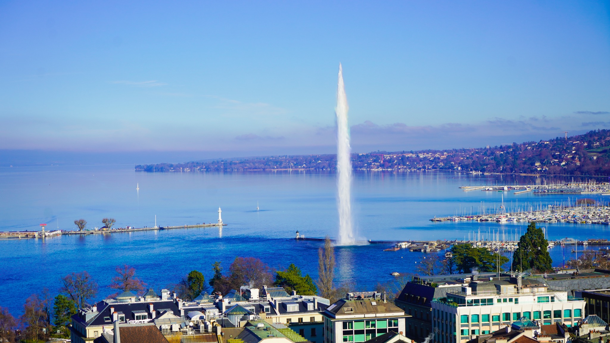 WhatsApp Image 2022-01-08 at 10.11.44