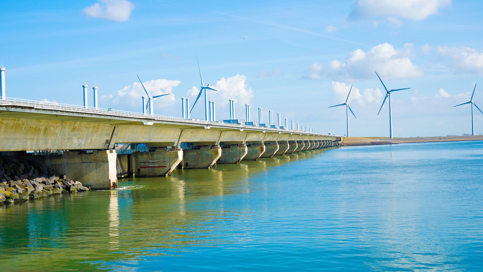 WhatsApp Image 2022-04-11 at 17.44.09 (1)