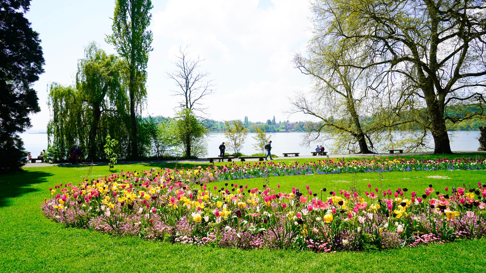 WhatsApp Image 2022-05-03 at 12.55.18 (15)