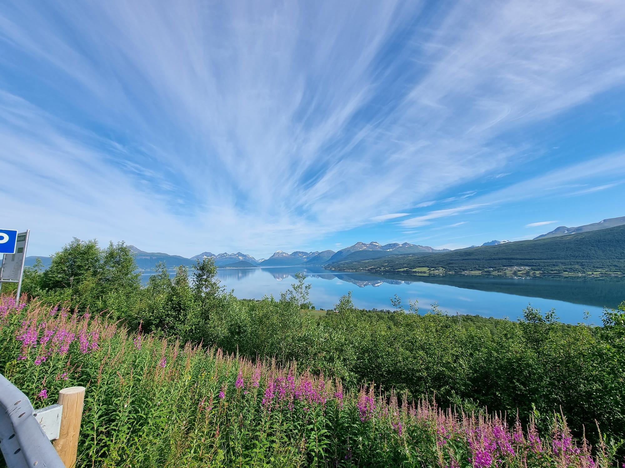 WhatsApp Image 2022-07-12 at 10.49.29