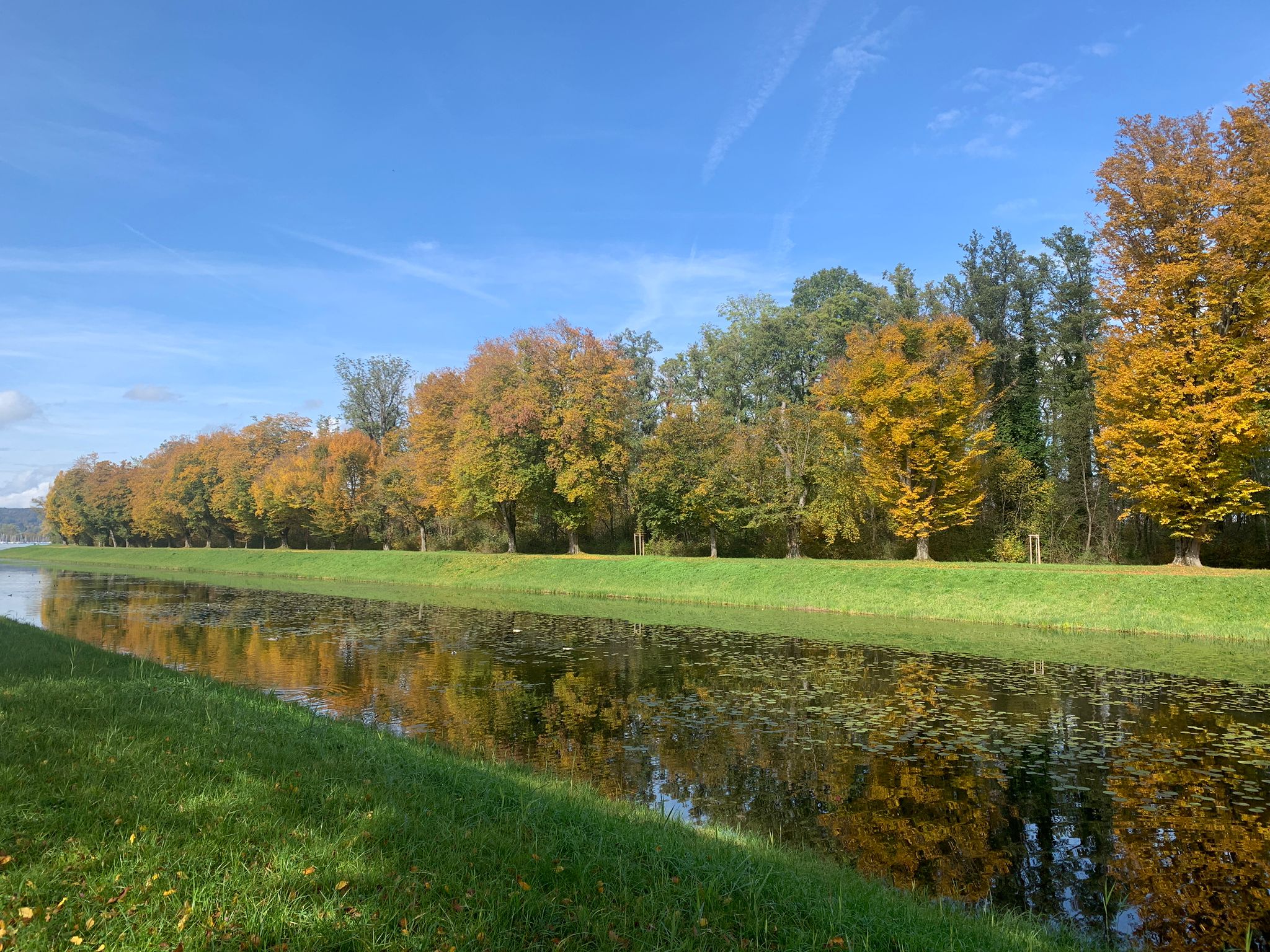 WhatsApp Image 2022-10-12 at 18.43.38