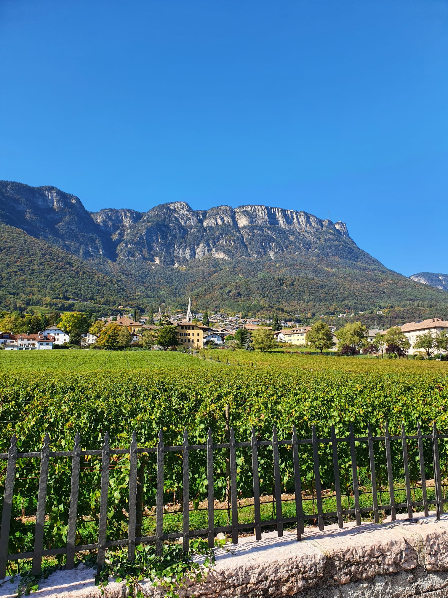 WhatsApp Image 2022-10-13 at 19.32.27 (5)