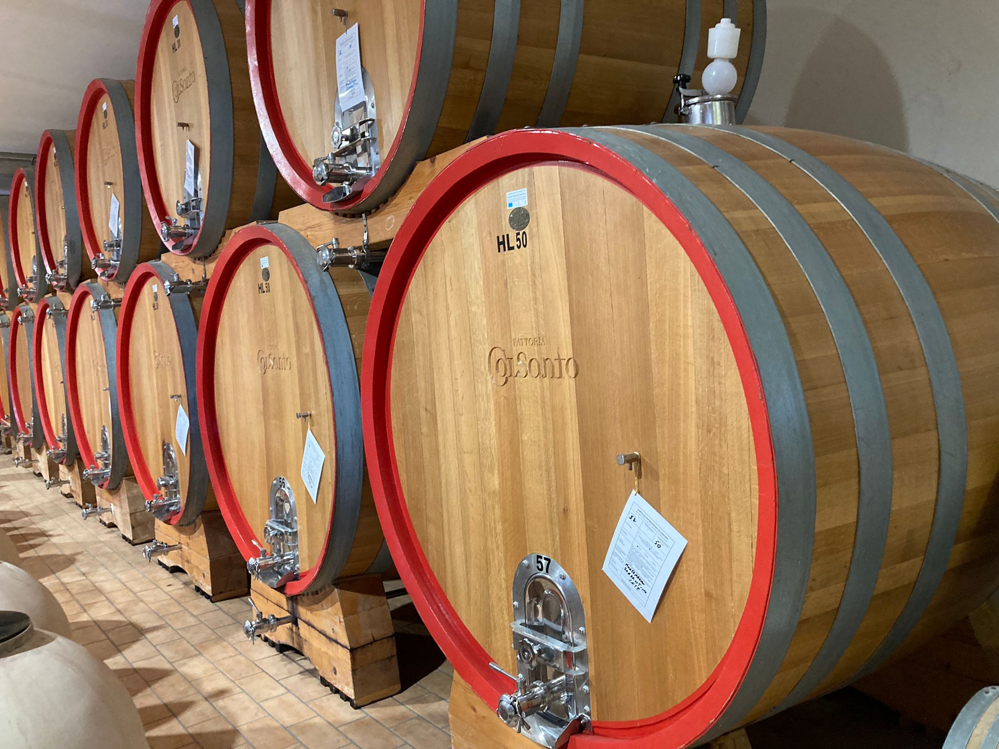 WhatsApp Image 2022-10-26 at 07.39.50