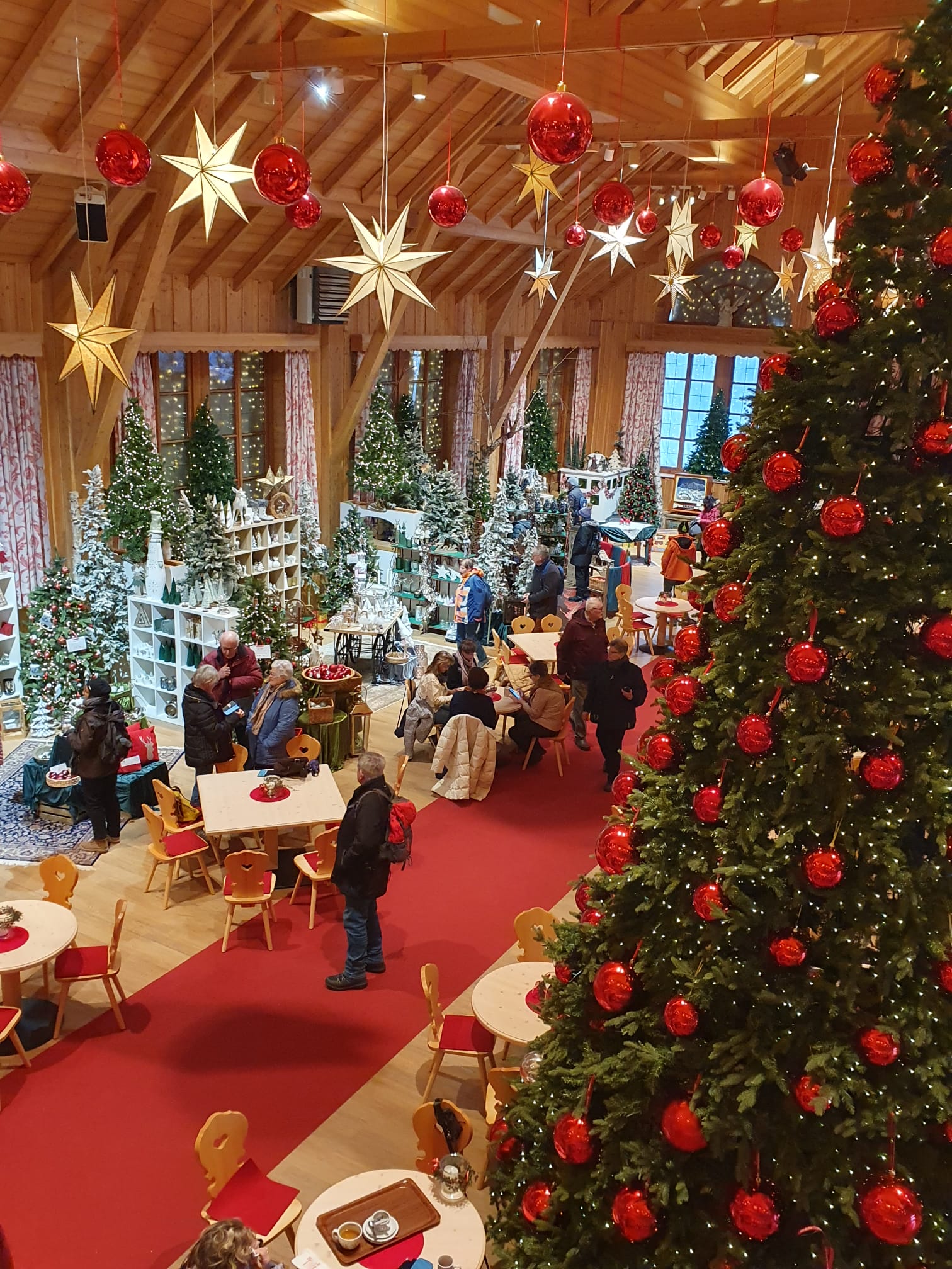 WhatsApp Image 2022-12-05 at 09.27.01 (4)