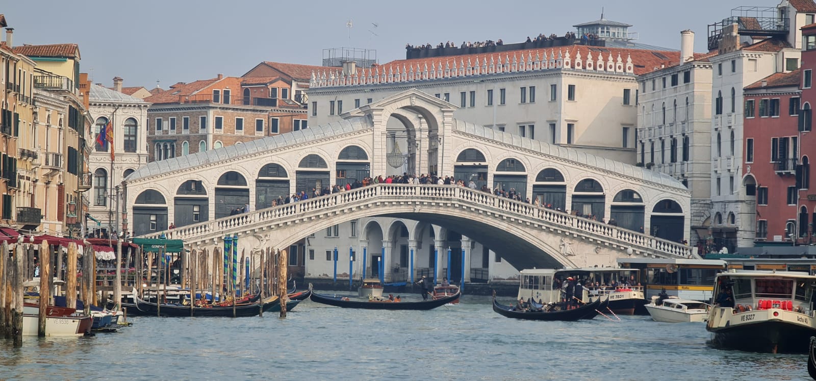 WhatsApp Image 2023-02-21 at 09.27.11