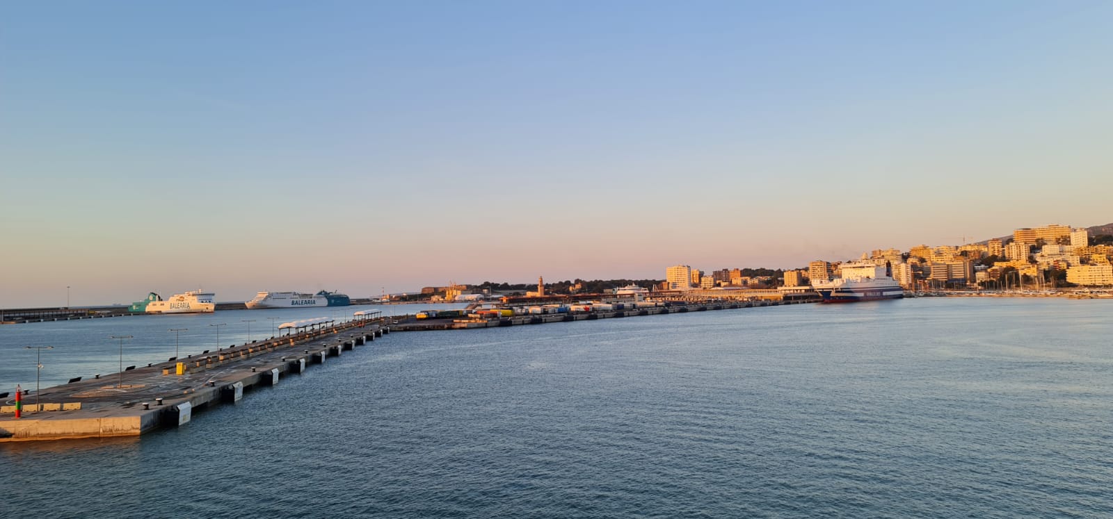 WhatsApp Image 2023-03-01 at 07.49.23