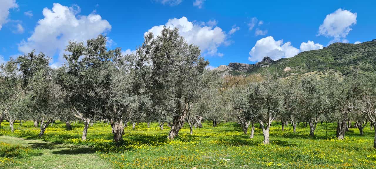 WhatsApp Image 2023-03-28 at 16.00.45 (3)