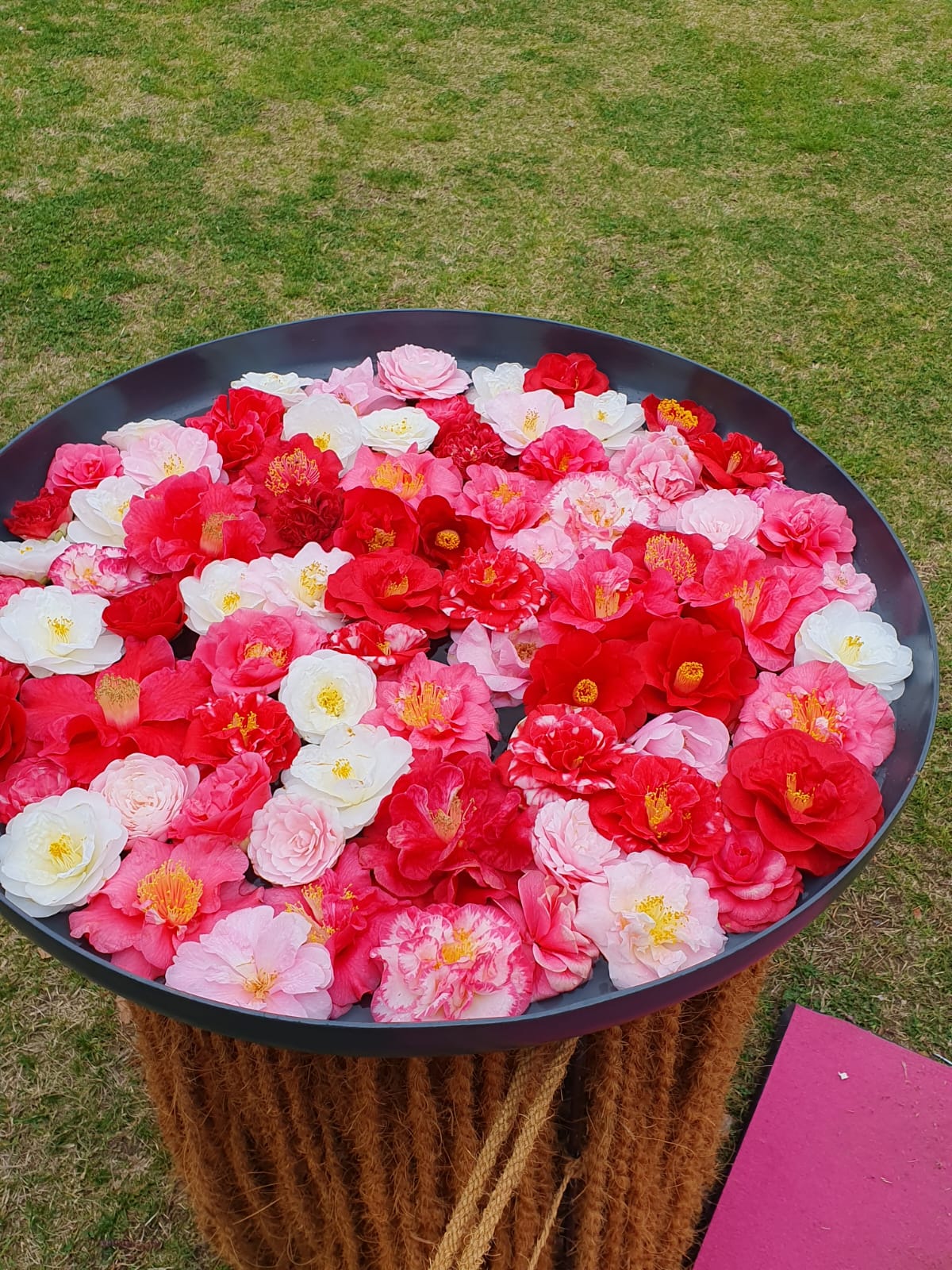 WhatsApp Image 2023-03-30 at 15.27.55