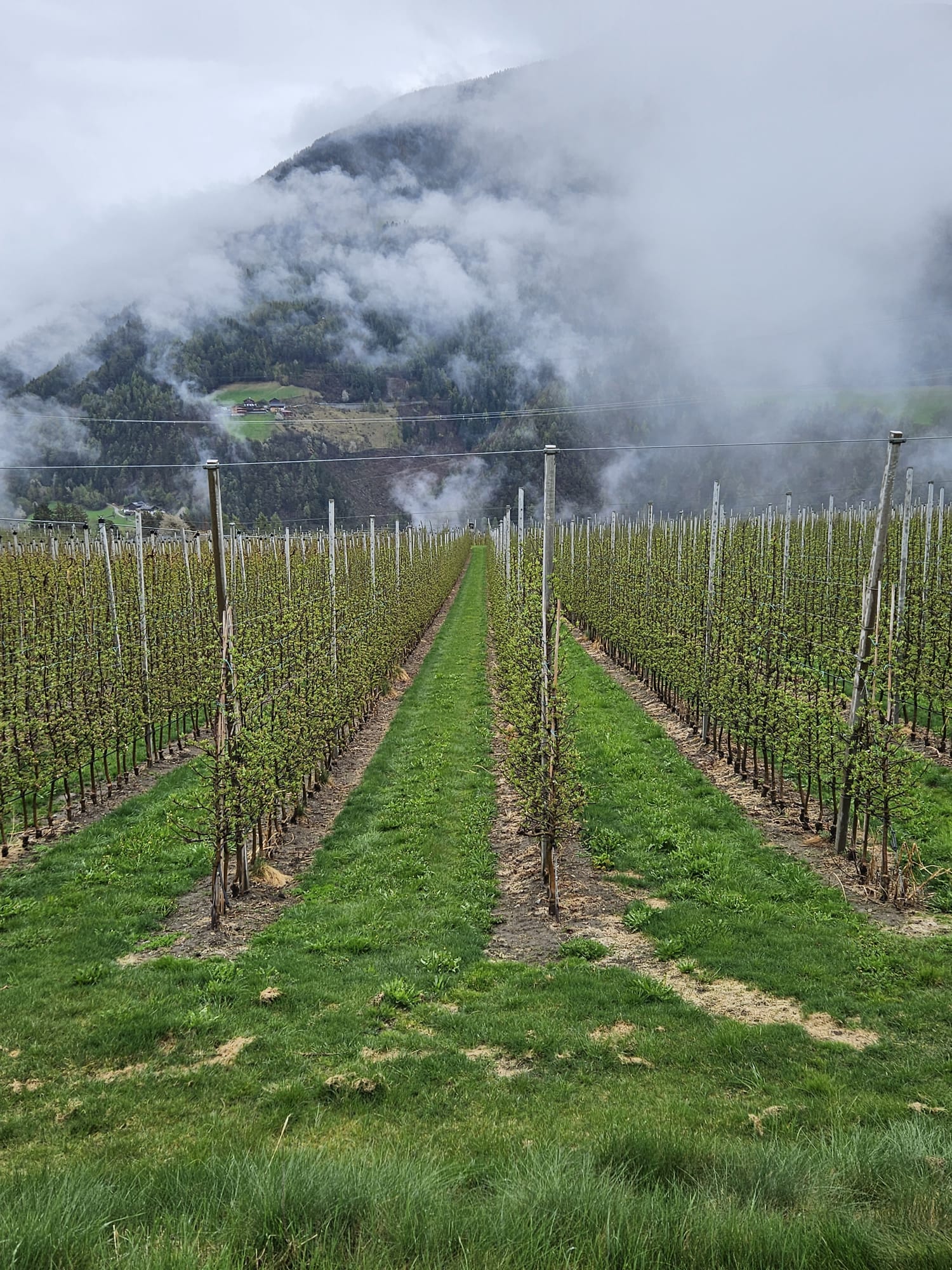 WhatsApp Image 2023-04-23 at 13.06.28 (3)