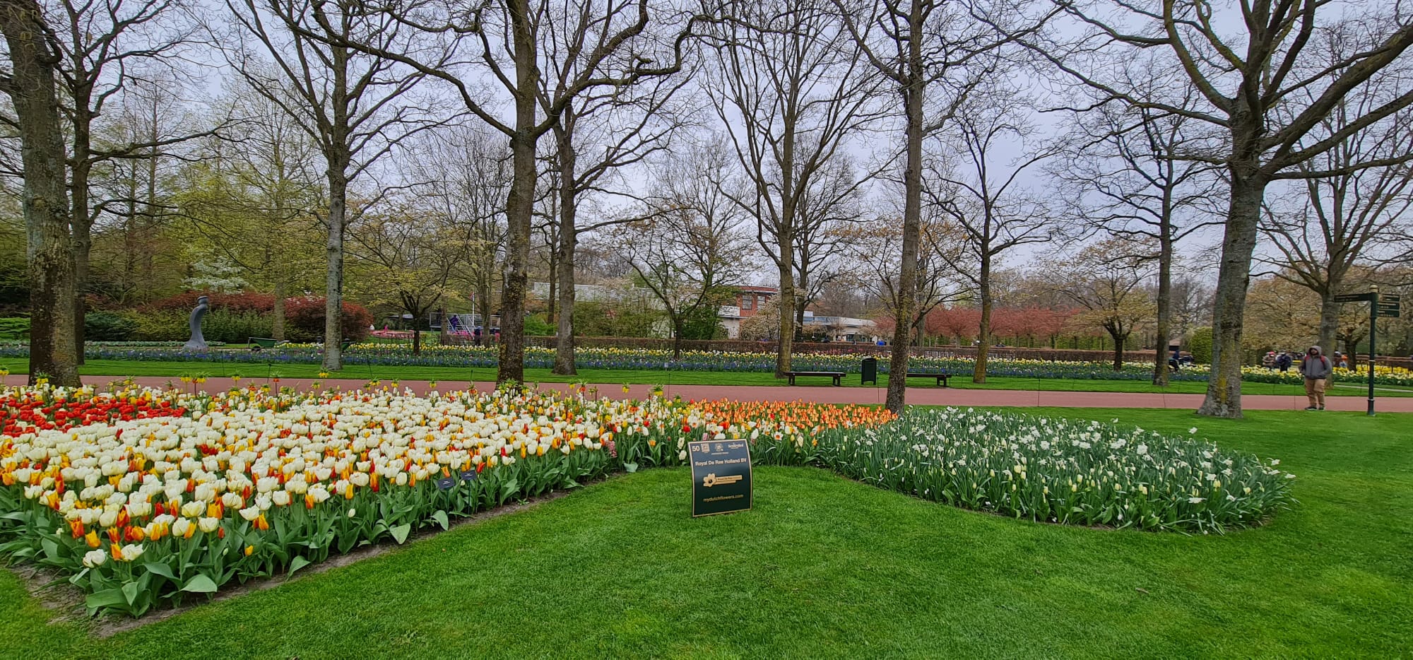 WhatsApp Image 2023-04-24 at 19.11.33 (7)