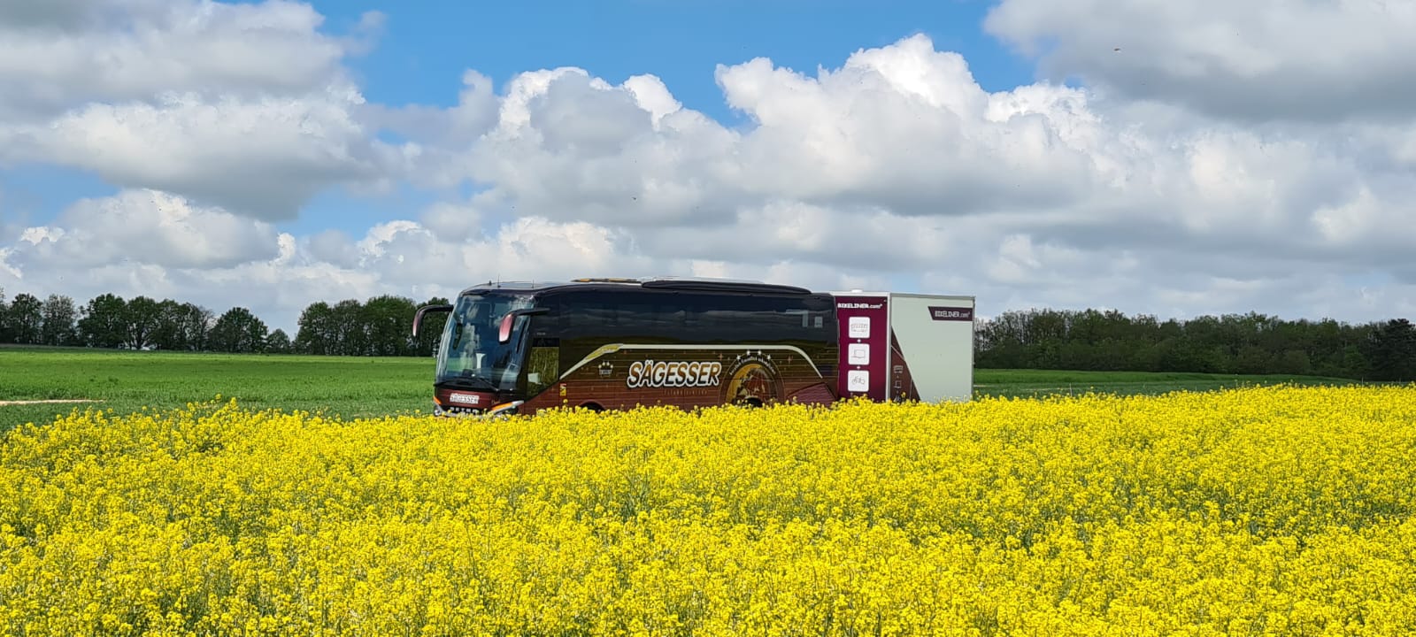 WhatsApp Image 2023-05-08 at 08.26.29 (2)