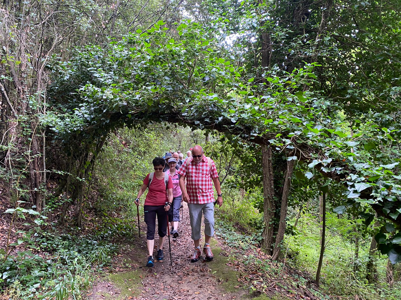 WhatsApp Image 2023-06-15 at 14.49.57