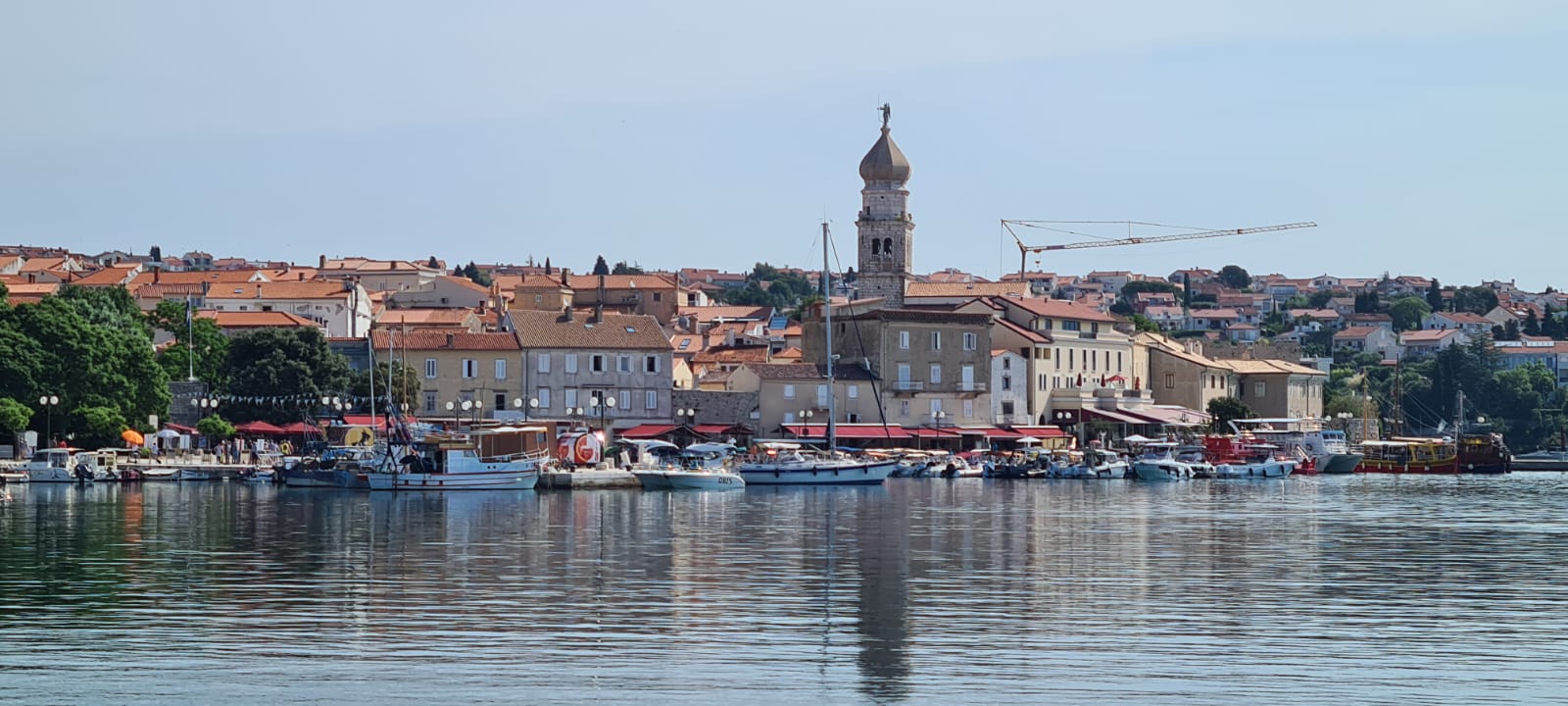 WhatsApp Image 2023-06-23 at 11.46.30