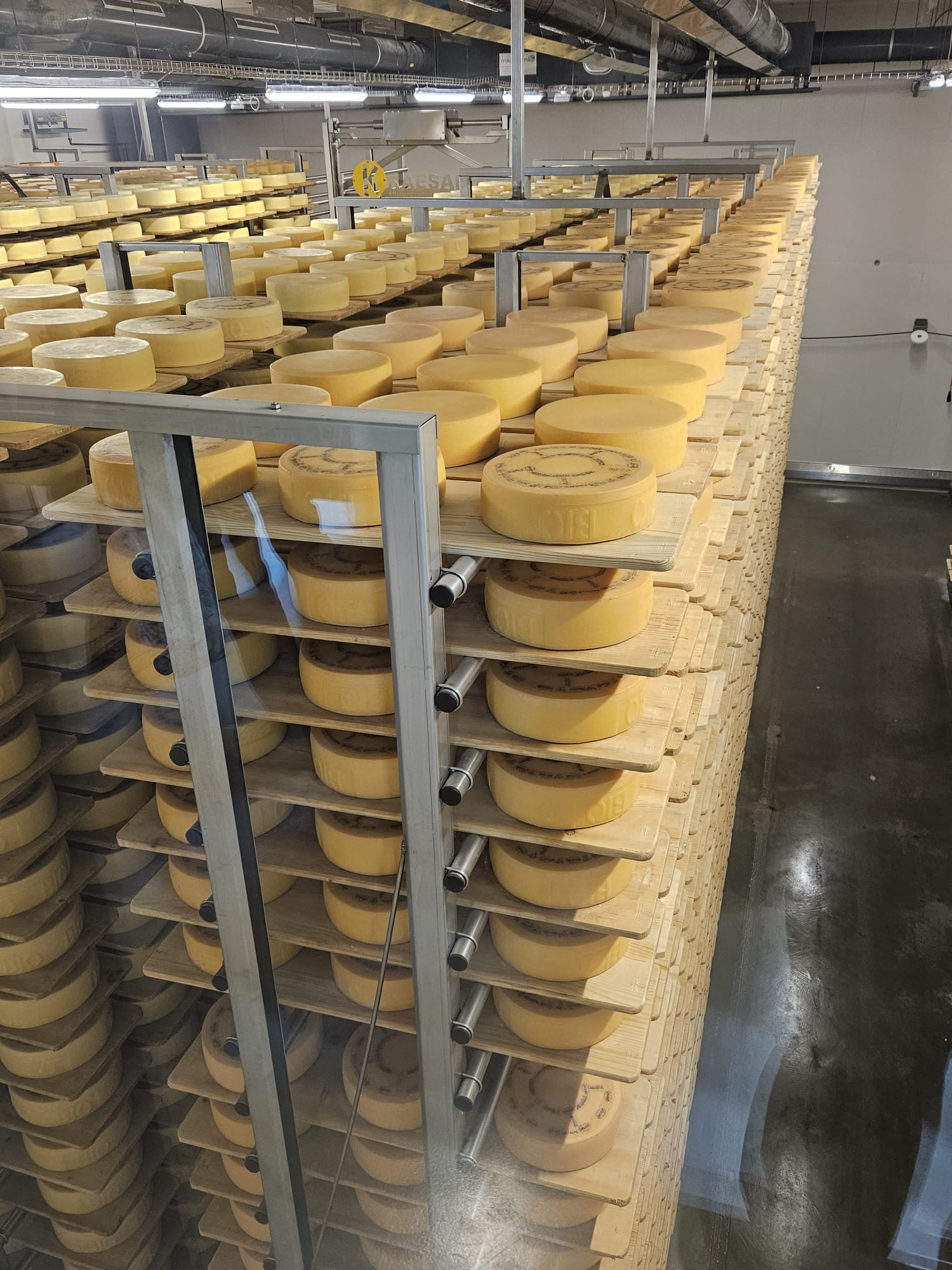 WhatsApp Image 2023-08-03 at 13.10.18