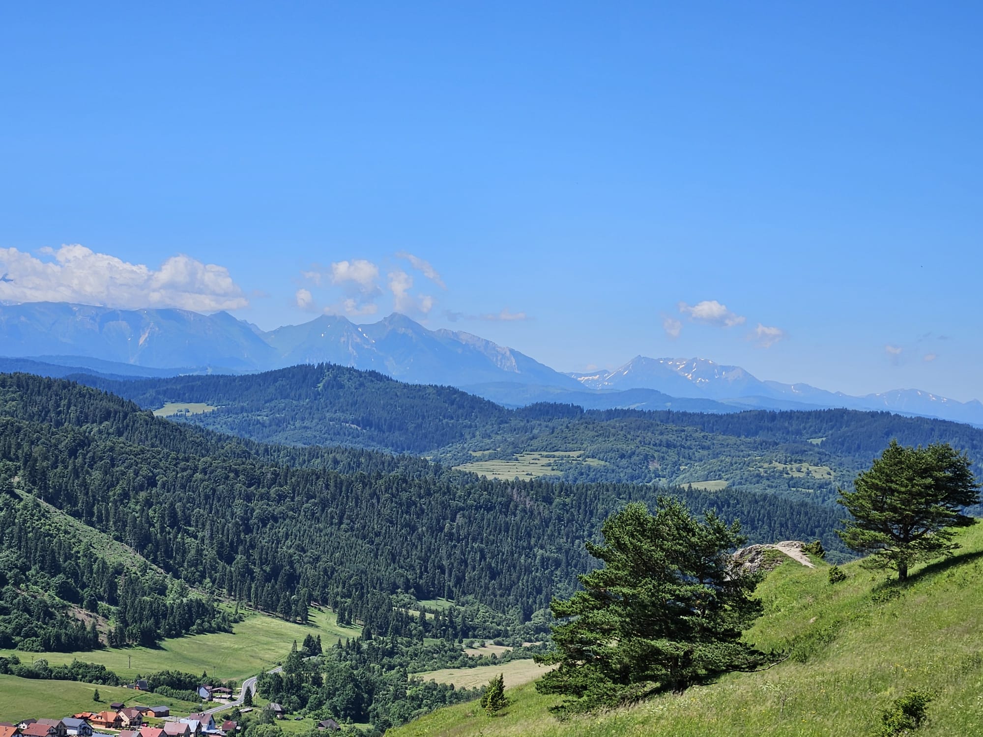 WhatsApp Image 2024-06-25 at 09.32.54 (2)