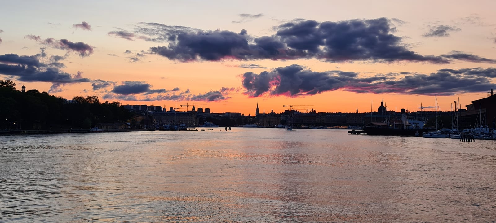 WhatsApp Image 2024-08-06 at 16.14.02