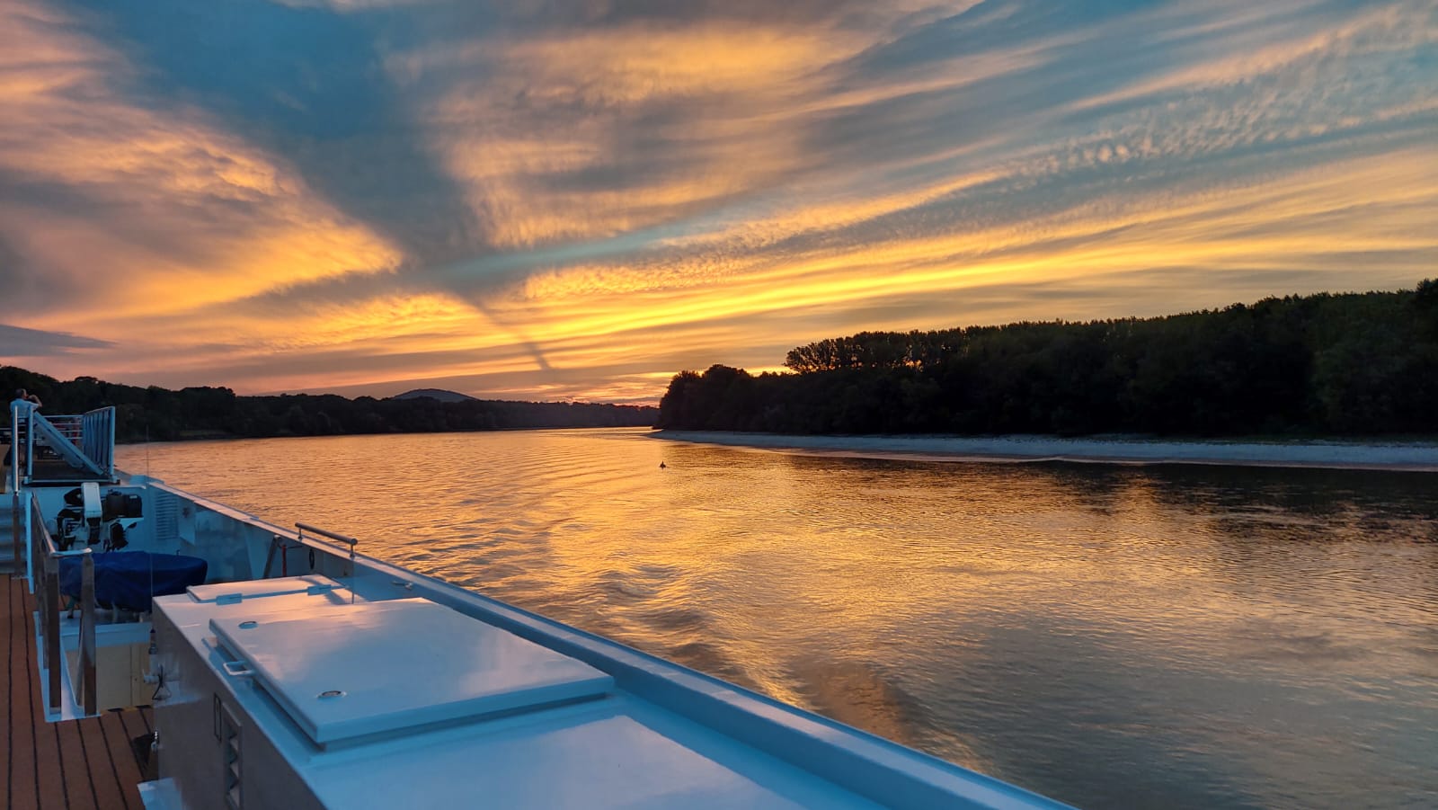 WhatsApp Image 2024-08-19 at 10.01.48