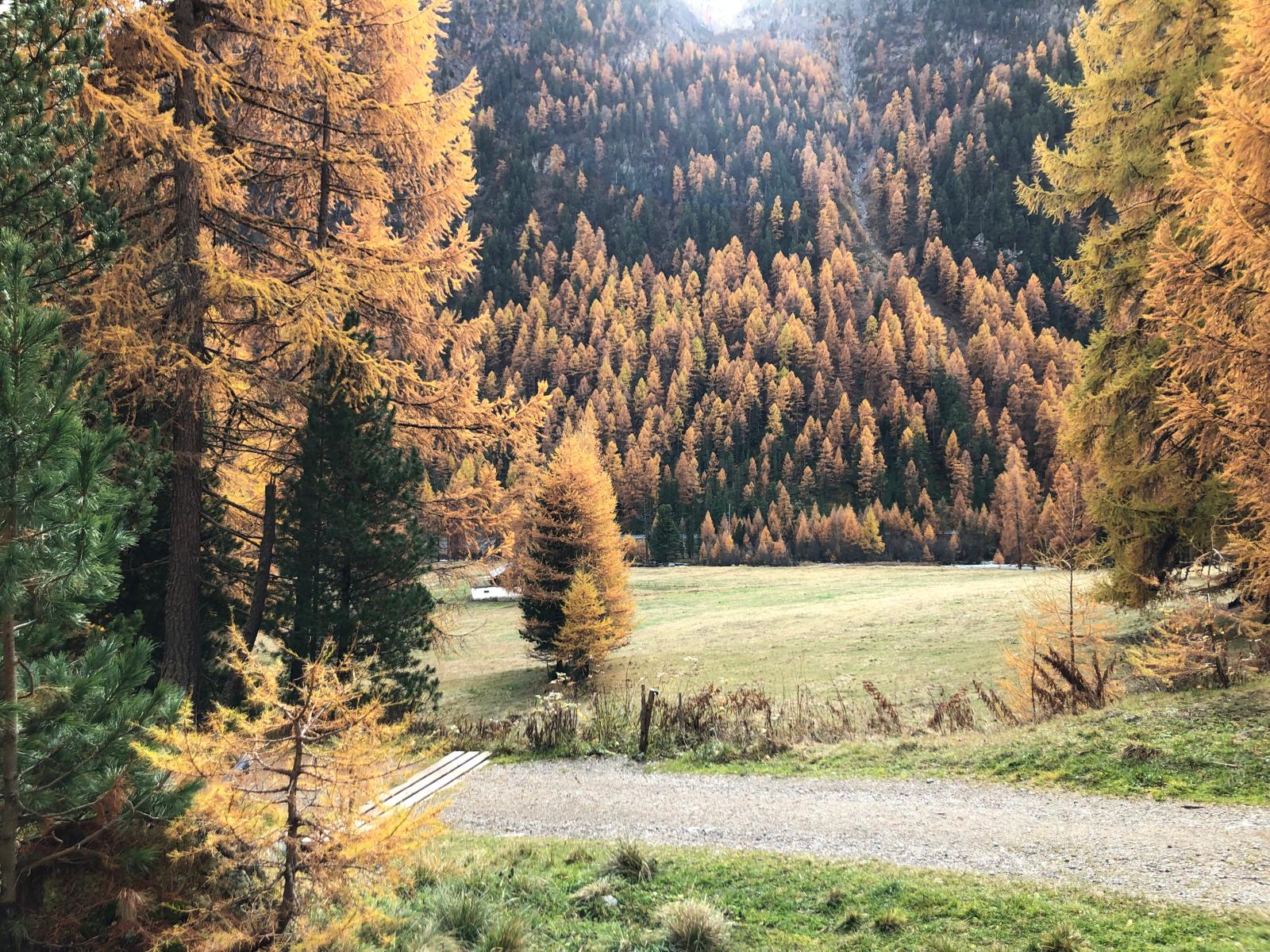 WhatsApp Image 2024-10-28 at 10.39.13 (2)