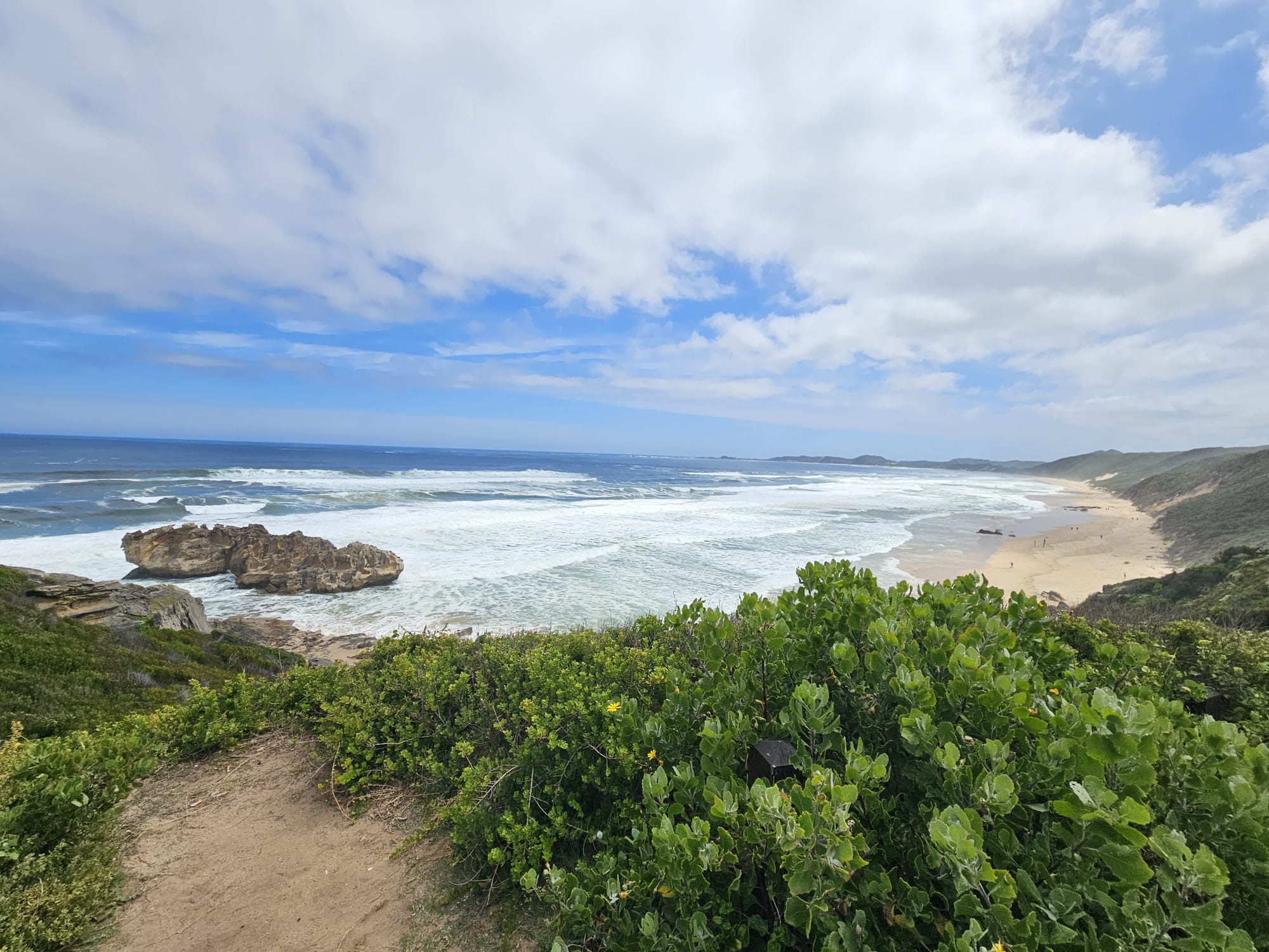 WhatsApp Image 2024-11-18 at 19.42.18 (1)