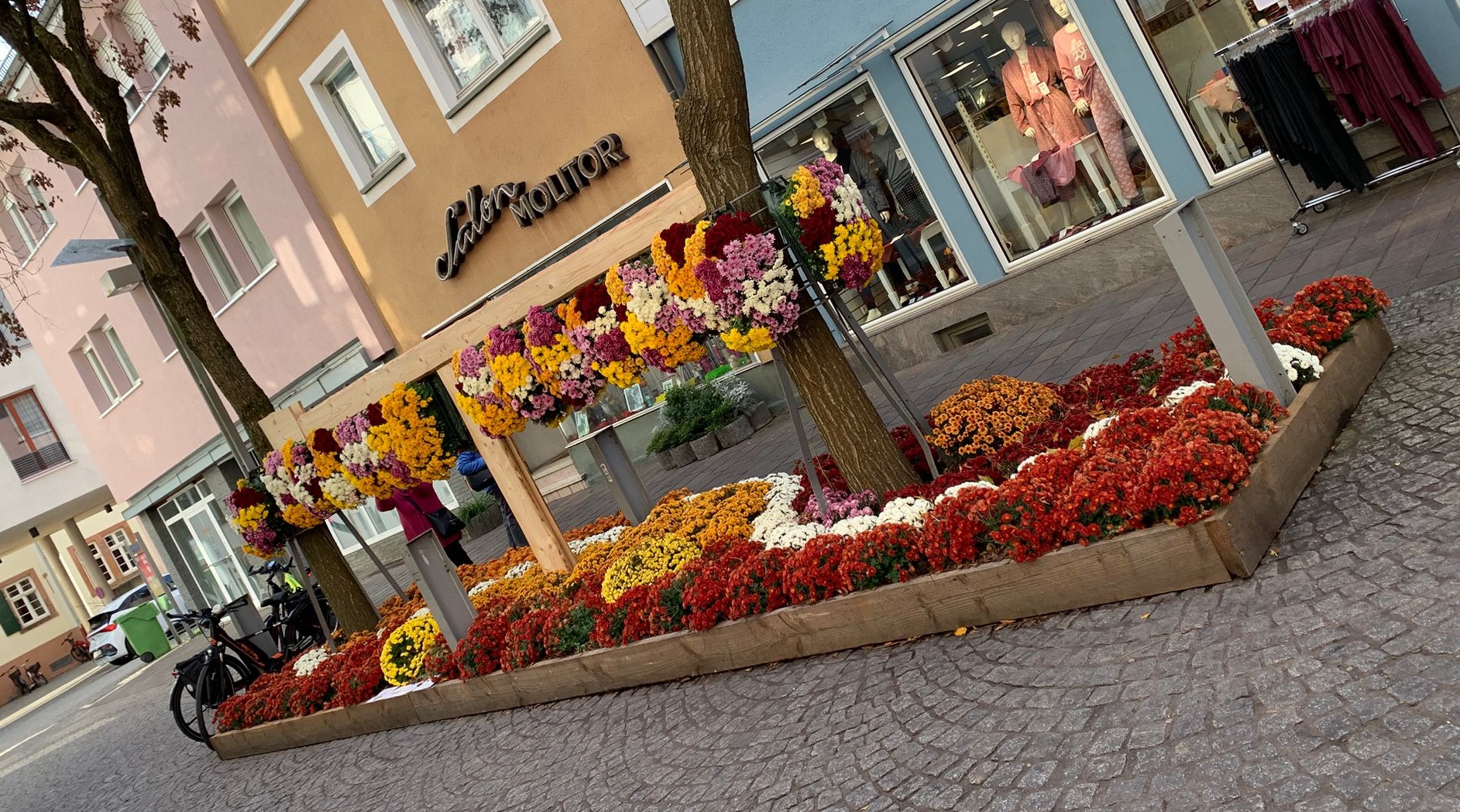 WhatsApp Image 2025-11-08 at 09.19.01 (1)