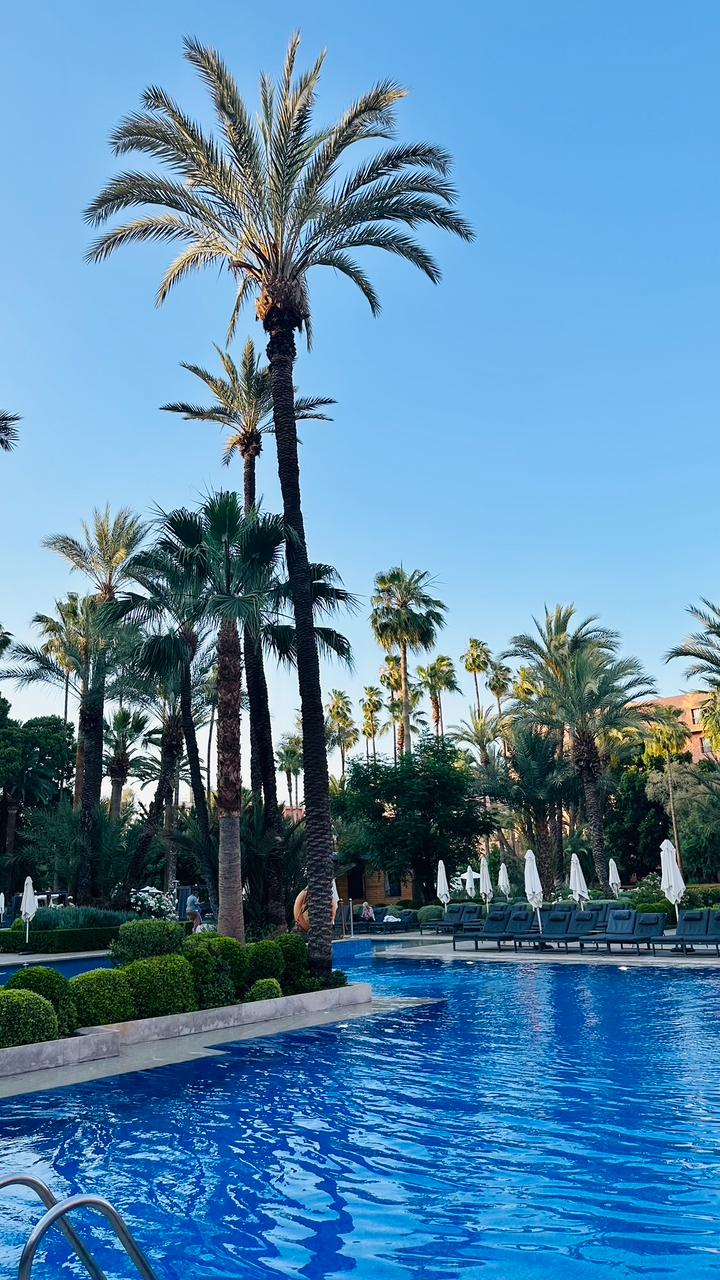 cf5a8434-96be-4916-bbda-1fd79a49e1dc